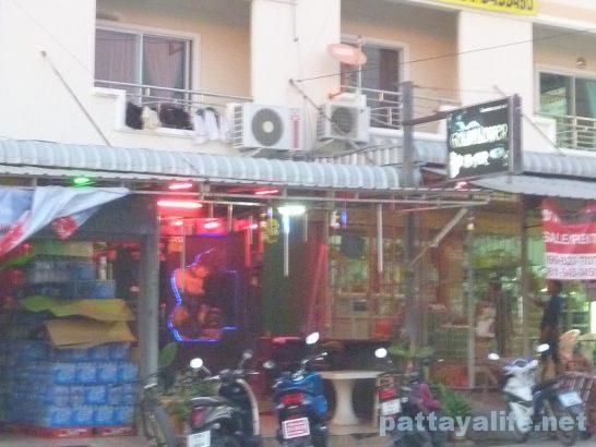 Pattaya Darkside bar (9)