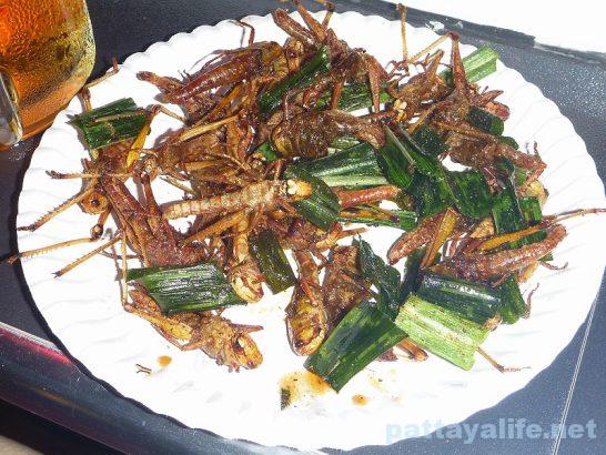 Fried insect
