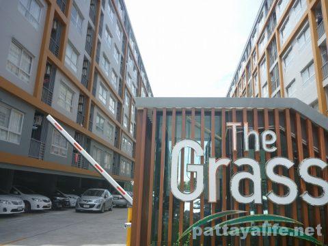 The grass pattaya (1)