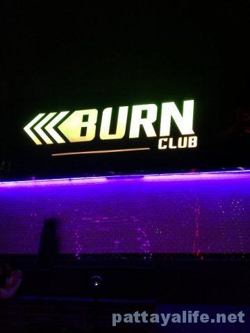 Burn Club Tree Town (8)